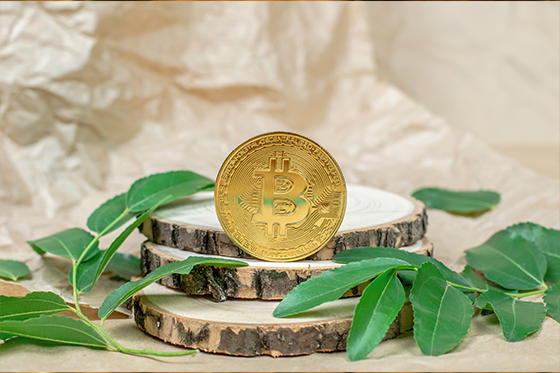 bitcoin